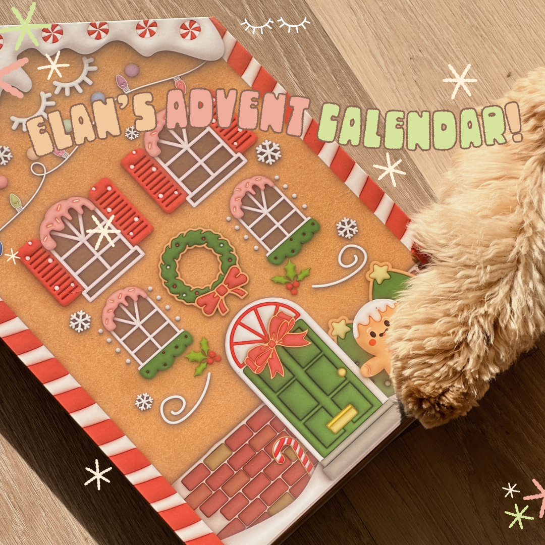 elan's advent calendar ($209.99 VALUE)