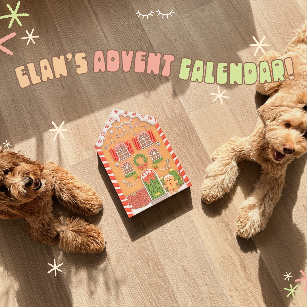 elan's advent calendar ($209.99 VALUE)