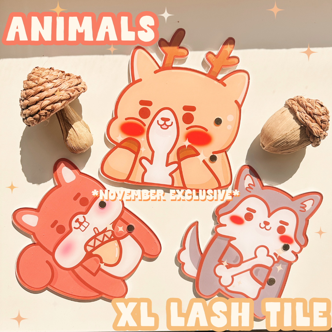 *NOVEMBER exclusive* XL magnetic lash tiles