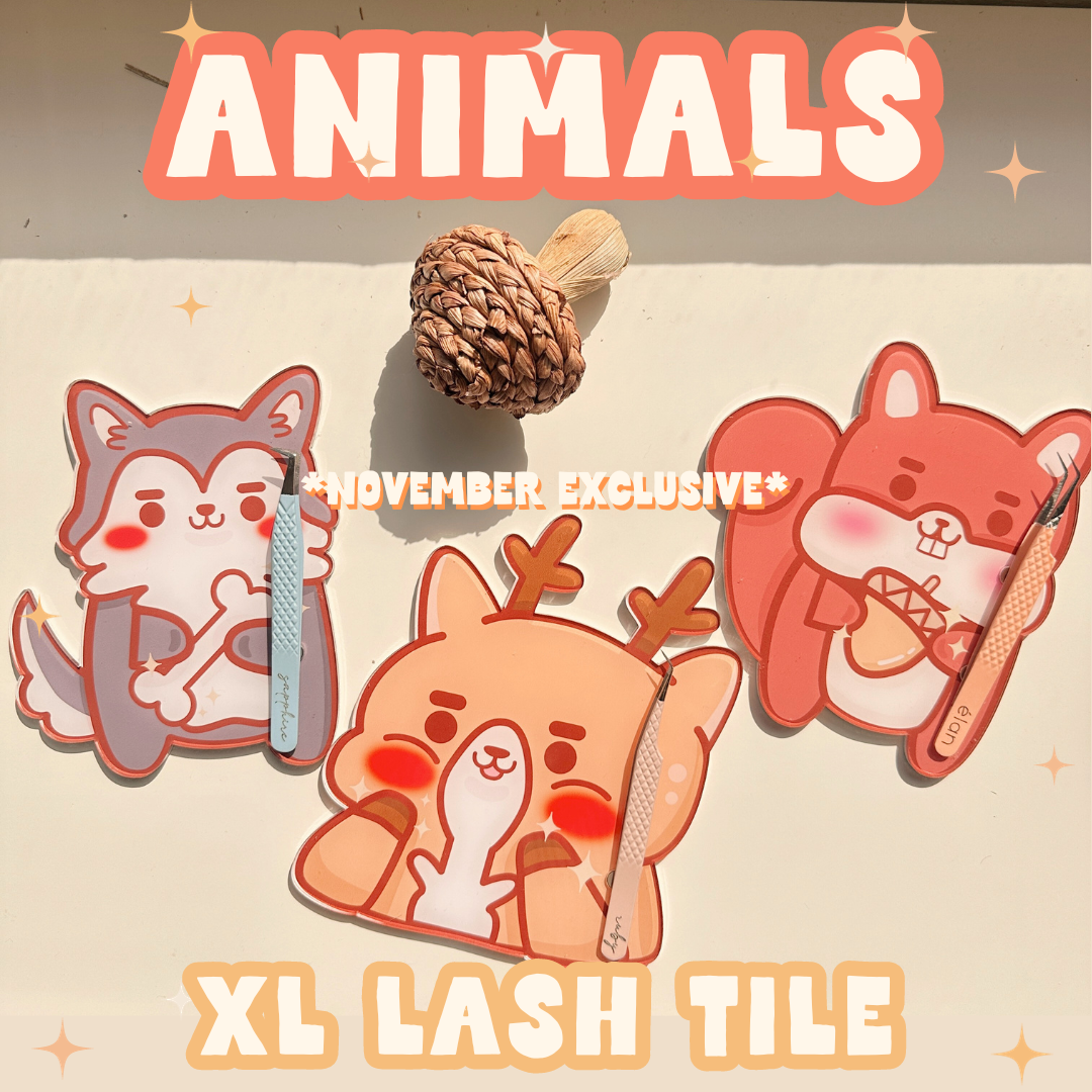*NOVEMBER exclusive* XL magnetic lash tiles