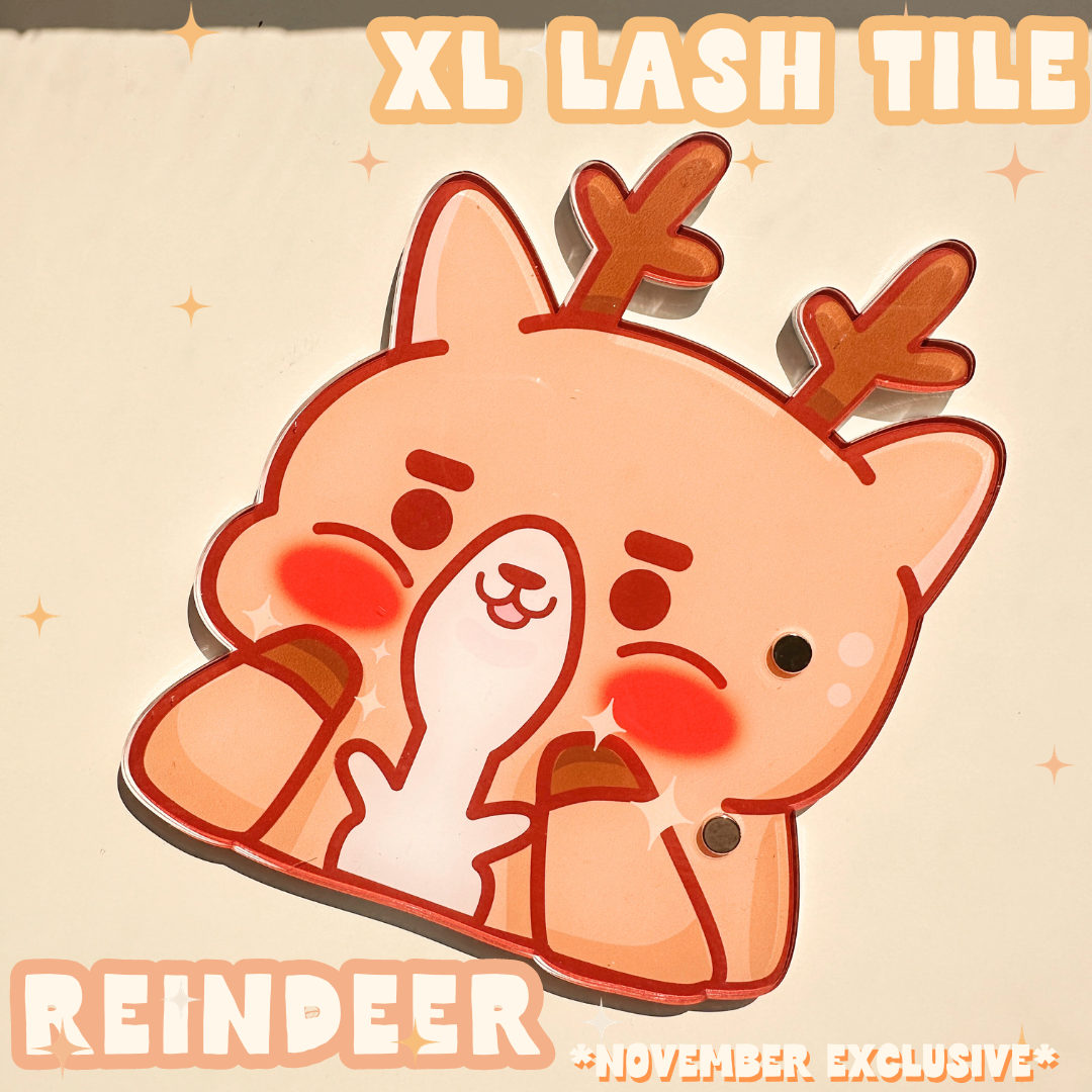 *NOVEMBER exclusive* XL magnetic lash tiles