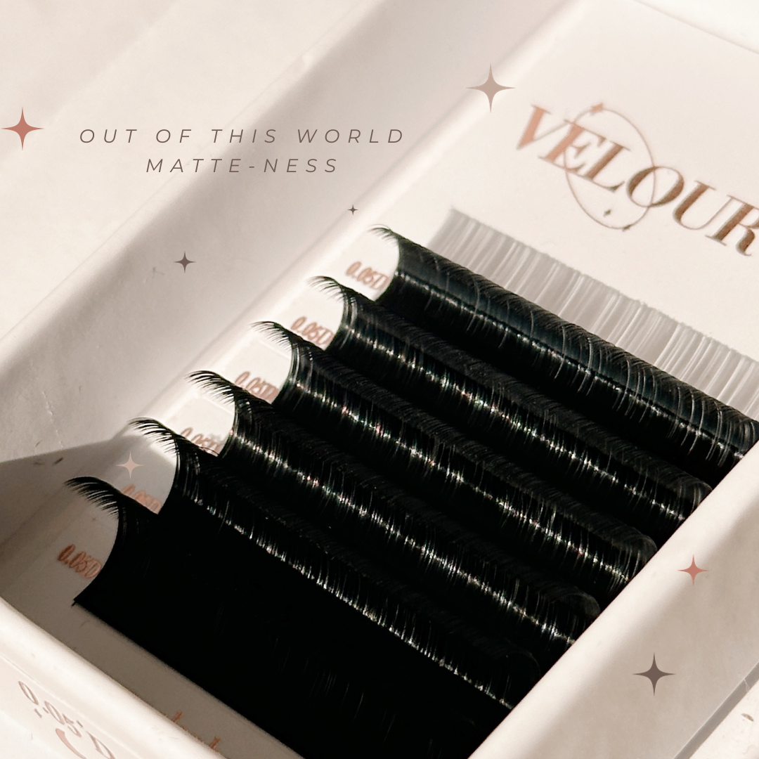 VELOUR MINK lash trays (MATTE & BOLD)