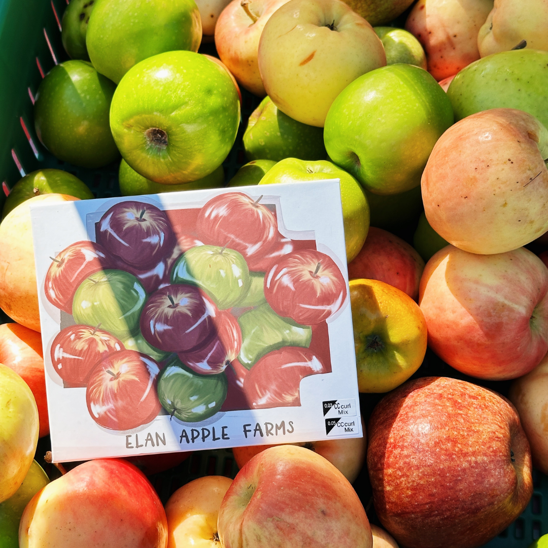 *TOUR exclusive* big boi fruit XL TRAYS