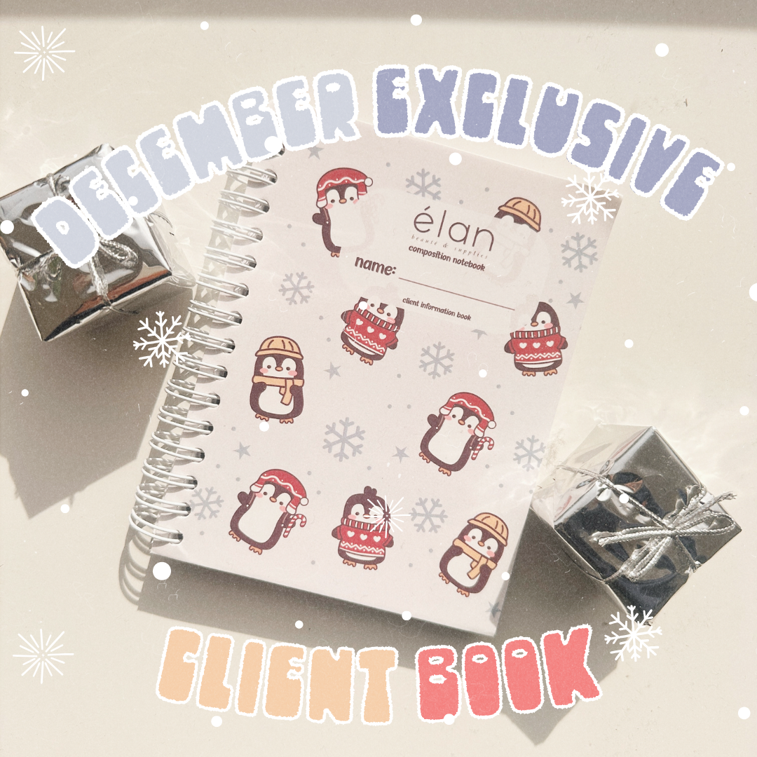 *DECEMBER exclusive* snowy CLIENT BOOK