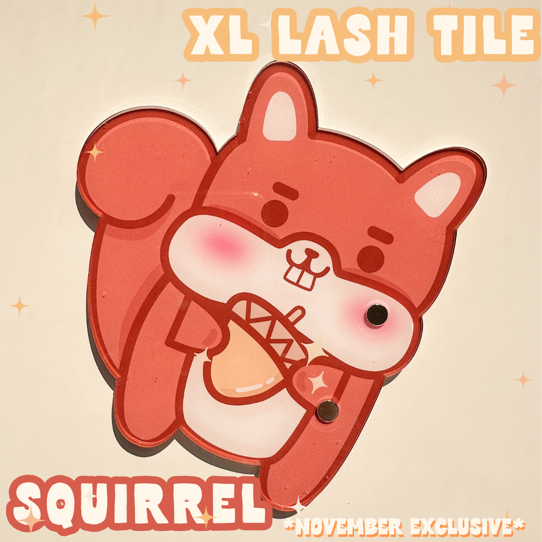 *NOVEMBER exclusive* XL magnetic lash tiles
