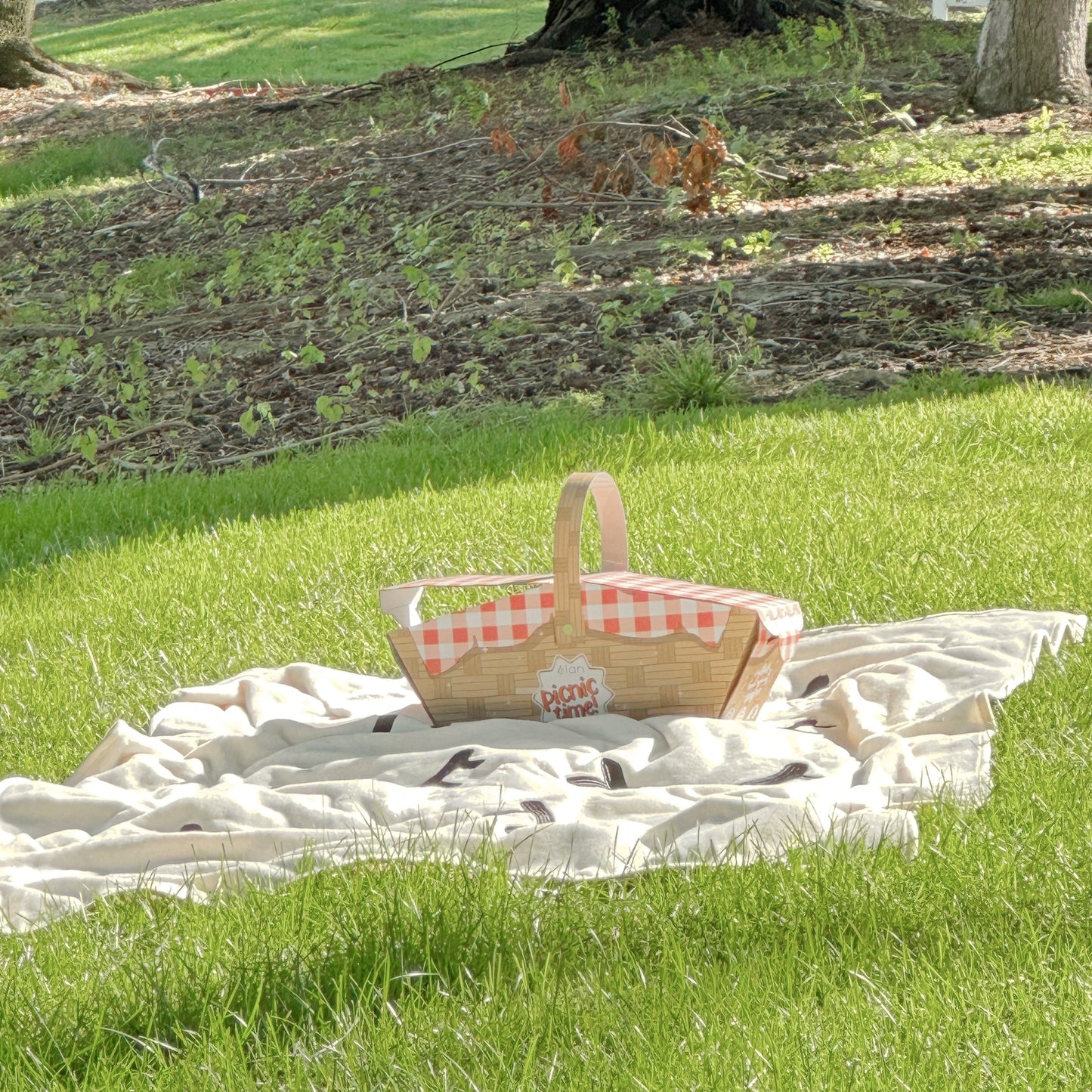 *SEPTEMBER exclusive* PICNIC TIME bundle
