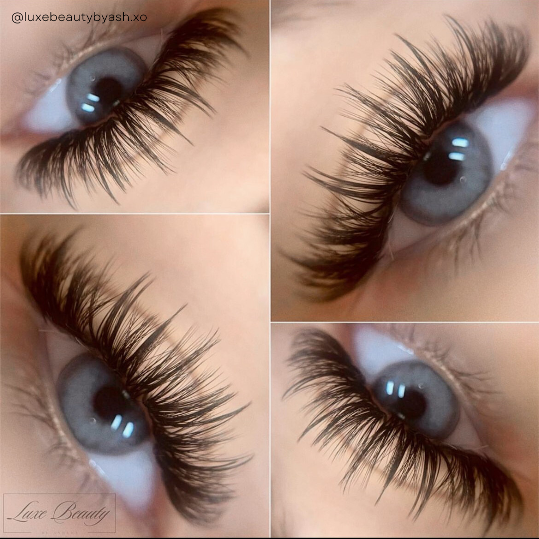 0.03 SABLE SILK lash trays