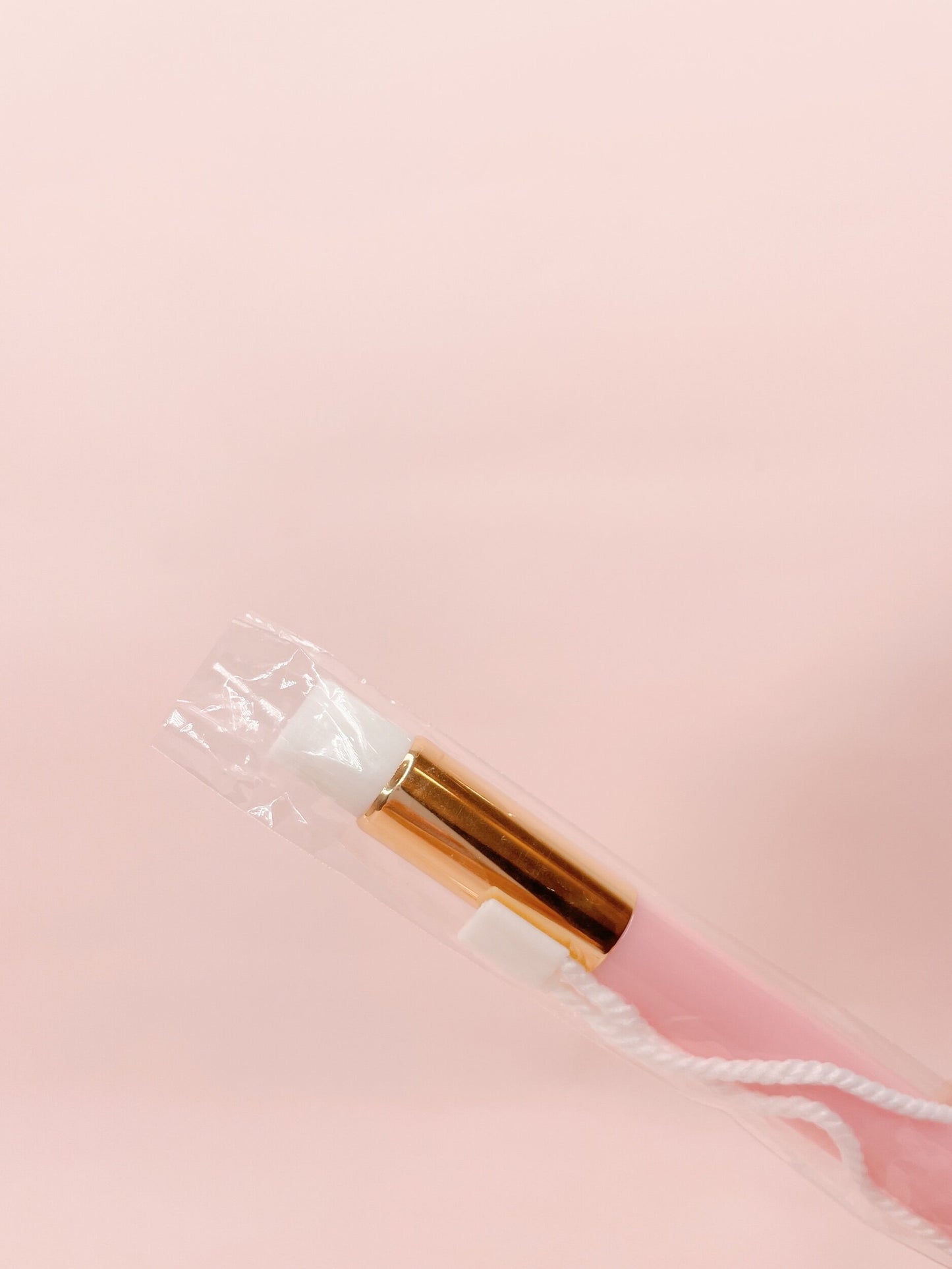 cleaning brush