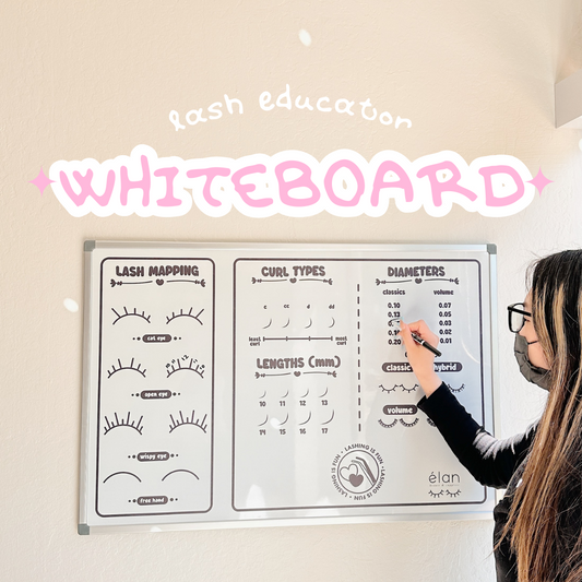 lash educator whiteboard