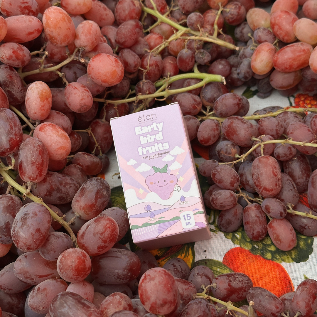 *TOUR exclusive* early bird fruits BONDER