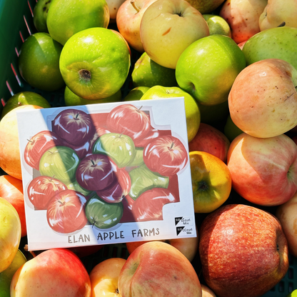*TOUR exclusive* big boi fruit XL TRAYS