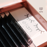 0.03 CASHMERE MINK lash trays 💫