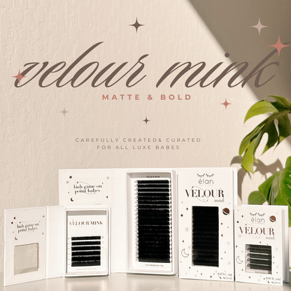 VELOUR MINK lash trays (MATTE & BOLD)
