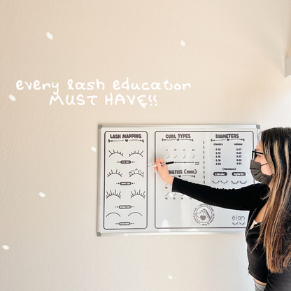lash educator whiteboard