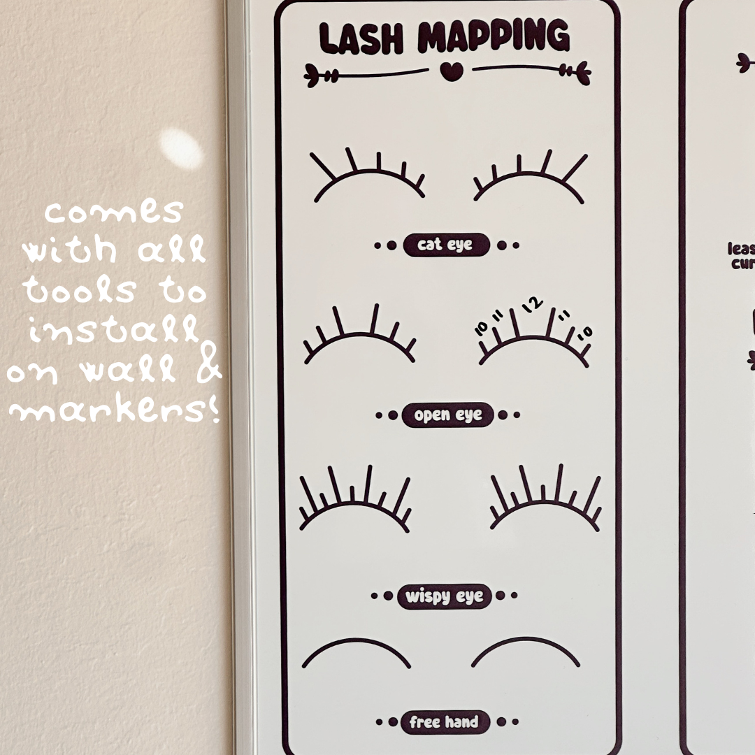 lash educator whiteboard