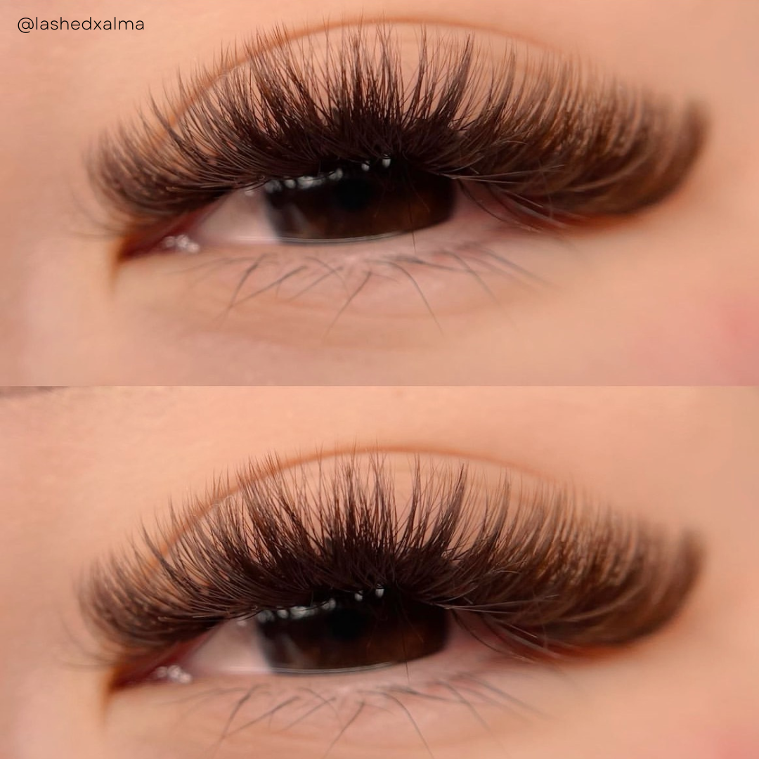 single lengths DARK BROWN lashes