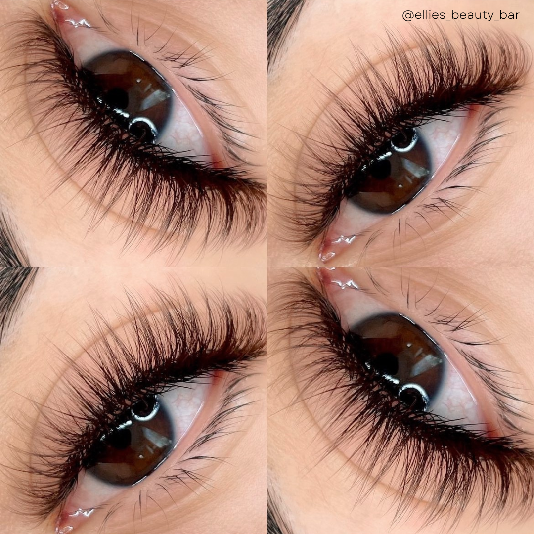 single lengths DARK BROWN lashes