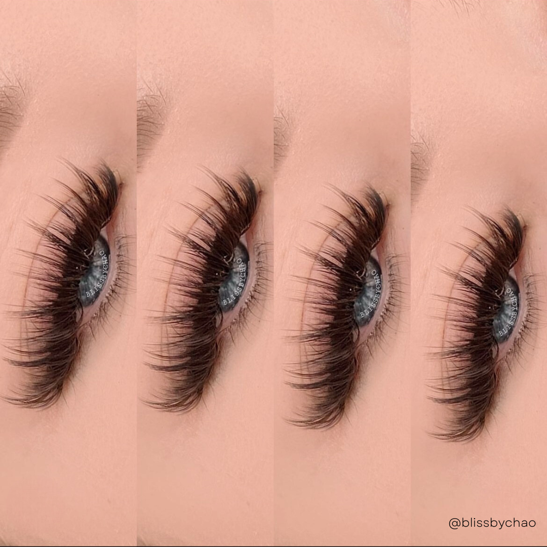 single lengths DARK BROWN lashes