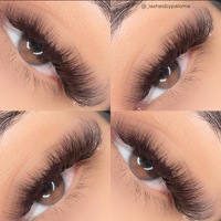 DARK BROWN color lashes