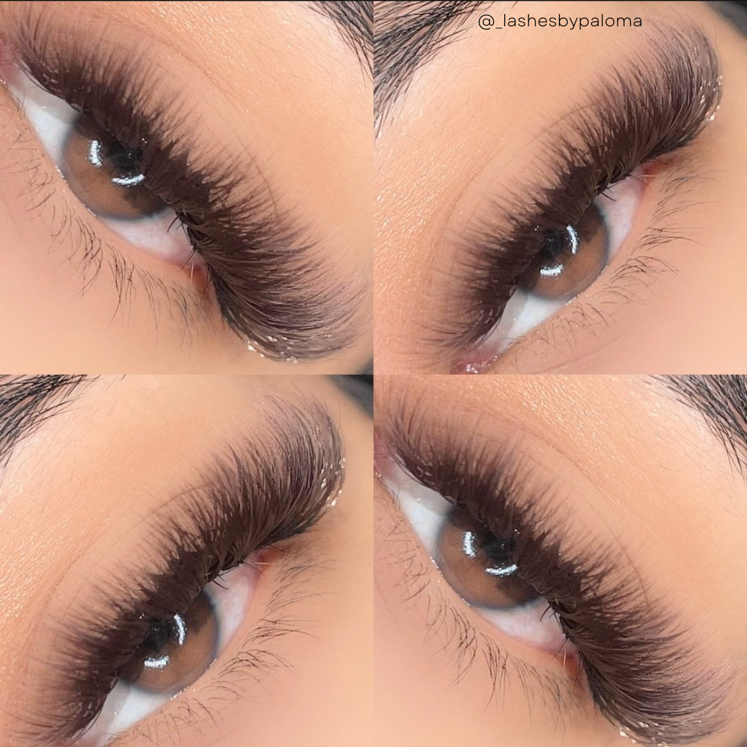 single lengths DARK BROWN lashes