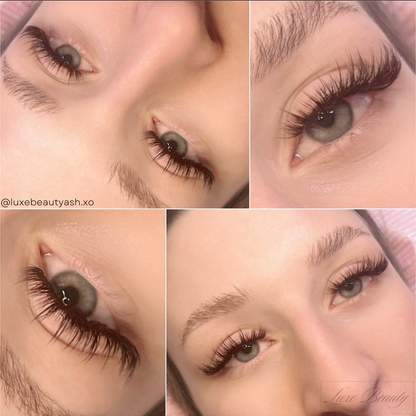 MINI BROWN SHORT LENGTHS cashmere mink lashes