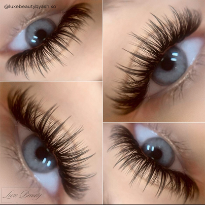 0.03 SABLE SILK lash trays