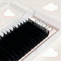 0.07 velvet mink EASY FAN trays ☁️