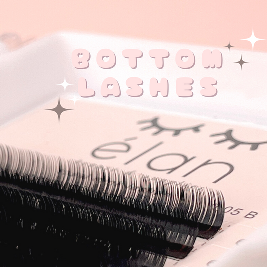 BOTTOM LASHES mini tray