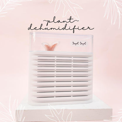 plant dehumidifier