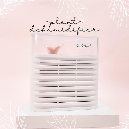 plant dehumidifier