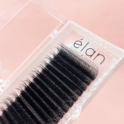 velvet mink 2 layer CC+D black lashes