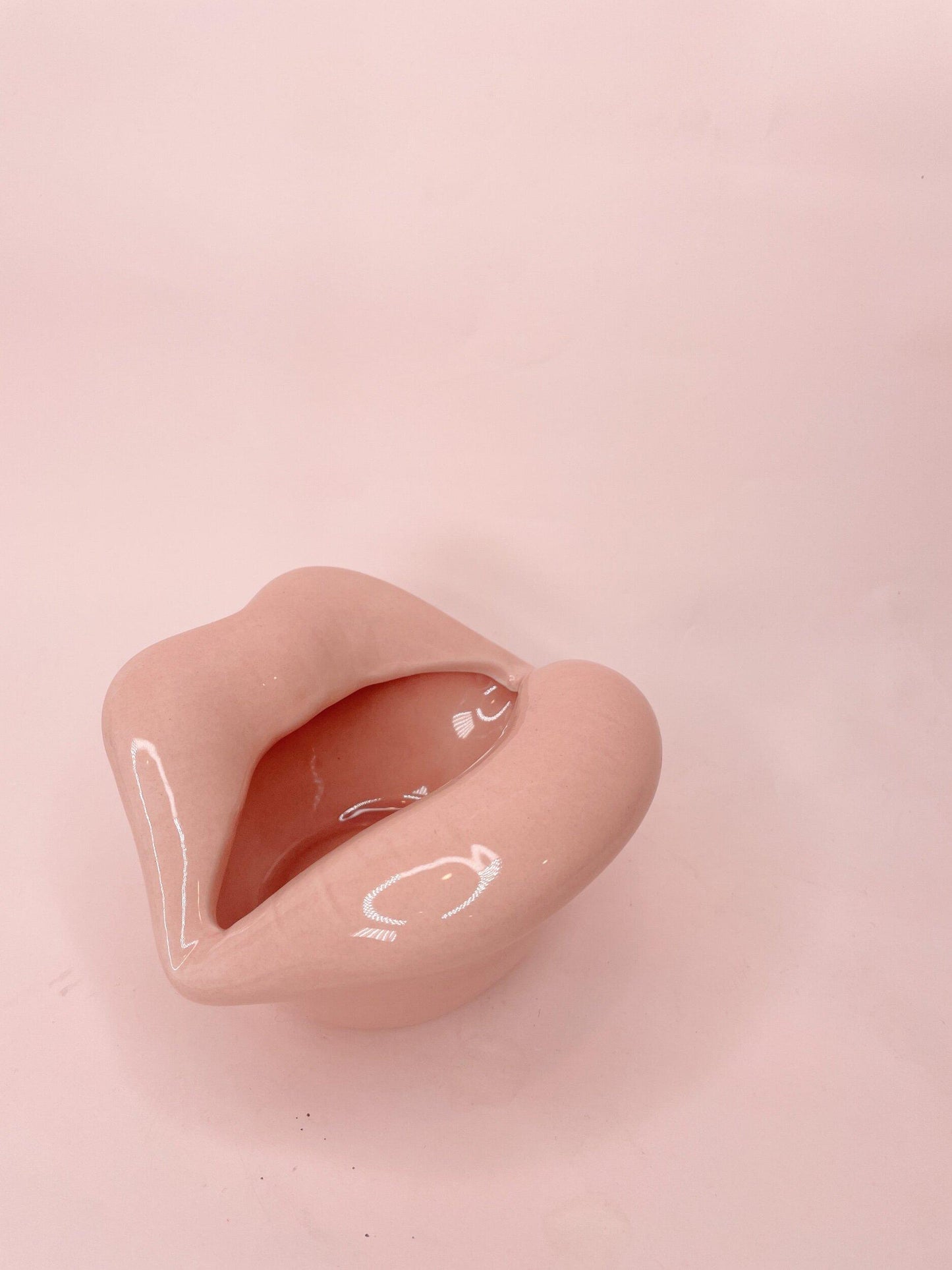 juicy lips container