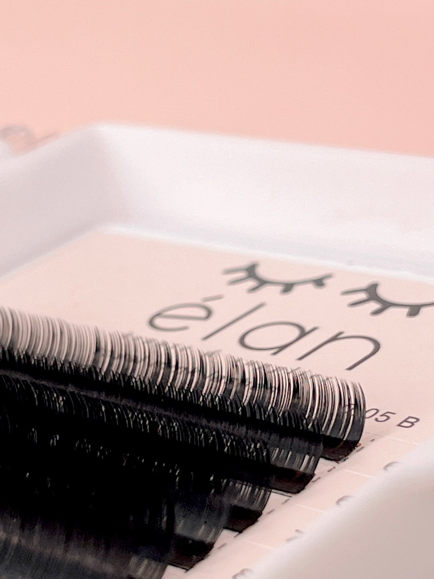 BOTTOM LASHES mini tray