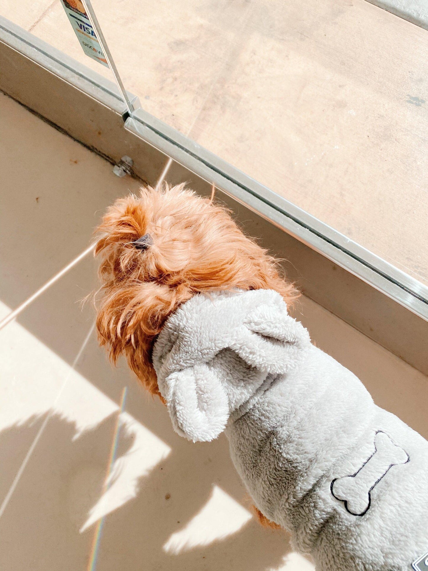 PET fluffy embroidered hoodies