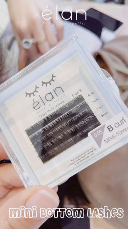 BOTTOM LASHES mini tray