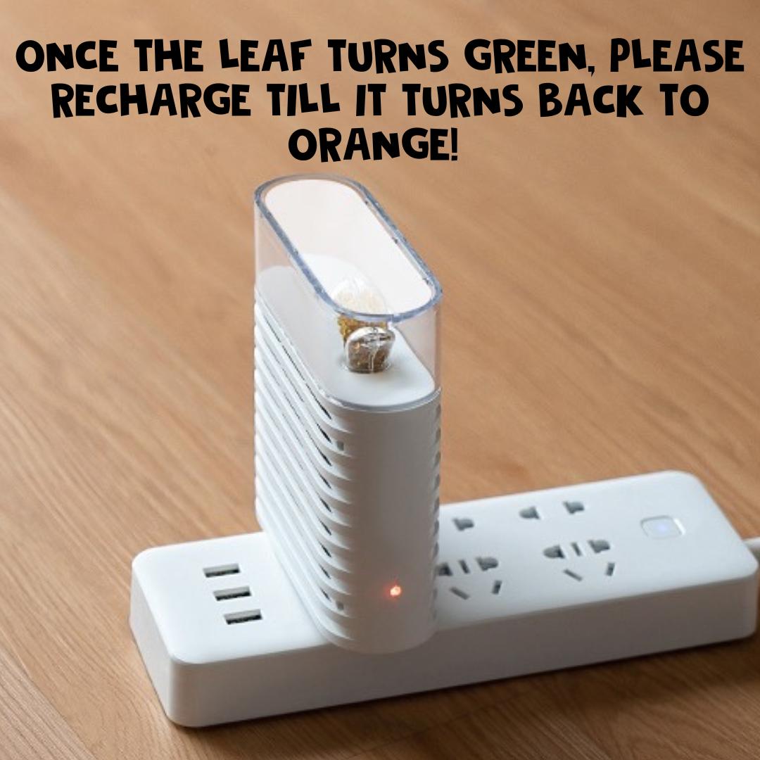 plant dehumidifier